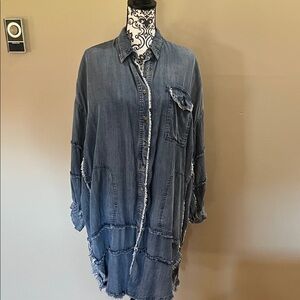 Denim Button-Up Shirt Dress